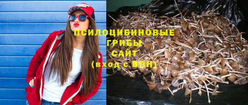 Галлюциногенные грибы Psilocybine cubensis  MEGA ссылки  Белый 